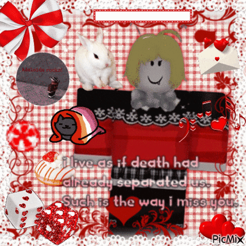 a picture of a girl and a rabbit with a caption that says i live as if death had already separated us