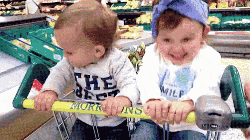 two babies are pushing a shopping cart together in a grocery store .