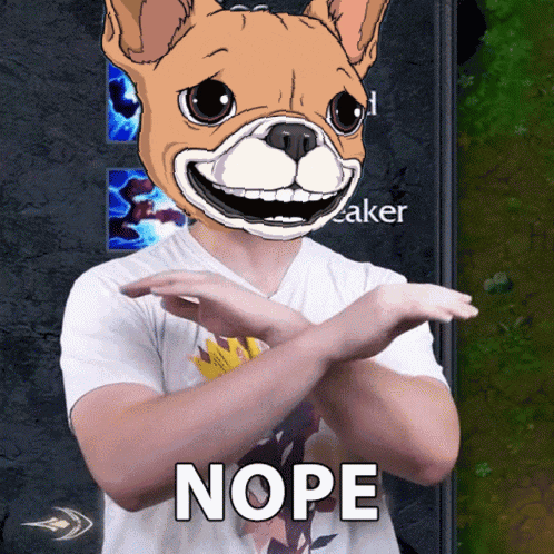 a man wearing a dog mask says nope