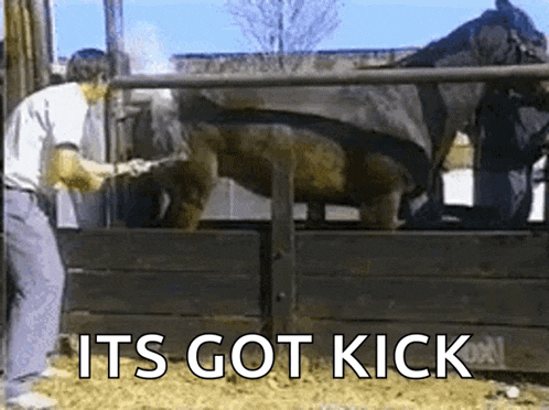 a man is standing next to a horse with the words " it 's got kick " written on the bottom