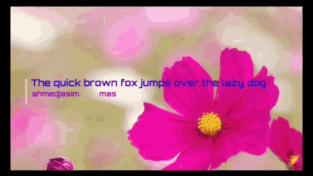 The Quick Brown Fox Jumps Over The Lazy Dog Flower GIF - The Quick Brown Fox Jumps Over The Lazy Dog Flower GIFs