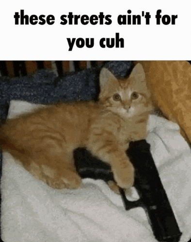 a kitten is holding a gun with the caption these streets ain 't for you cuh ..