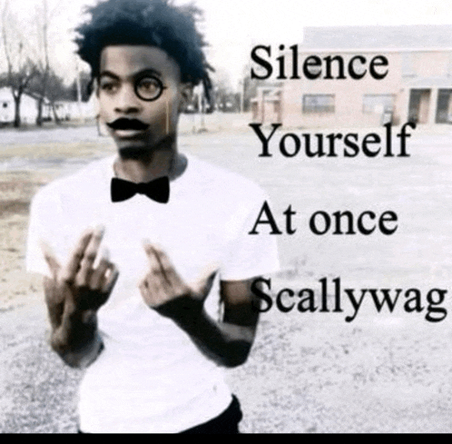 a man wearing glasses and a bow tie has the words silence yourself at once scallywag written above him