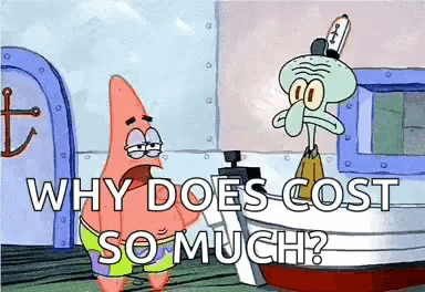 patrick star and squidward from spongebob squarepants are standing next to each other and asking why does cost so much