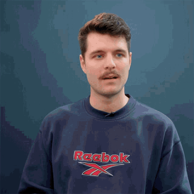 a man with a mustache is wearing a blue sweatshirt that says that 's absolutely crazy