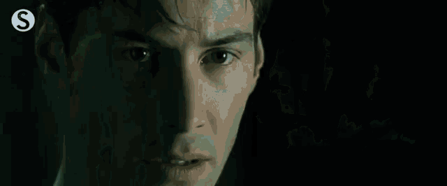 10 GIF