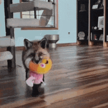 a fox is holding a stuffed animal in its paws in a living room