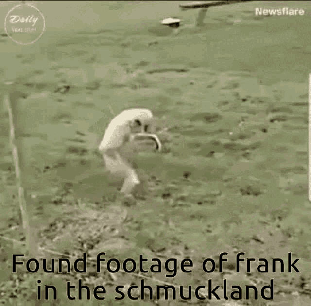 Frank Schmuckverse GIF - Frank Schmuckverse Schmuck GIFs