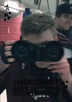 Shredpret Searching GIF - Shredpret Searching Montanasnowcenter GIFs