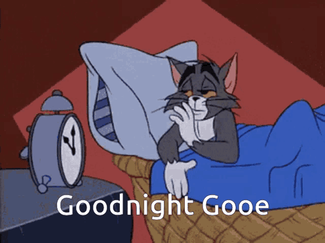 a cartoon of a cat laying in bed with the words " goodnight gooe " below him
