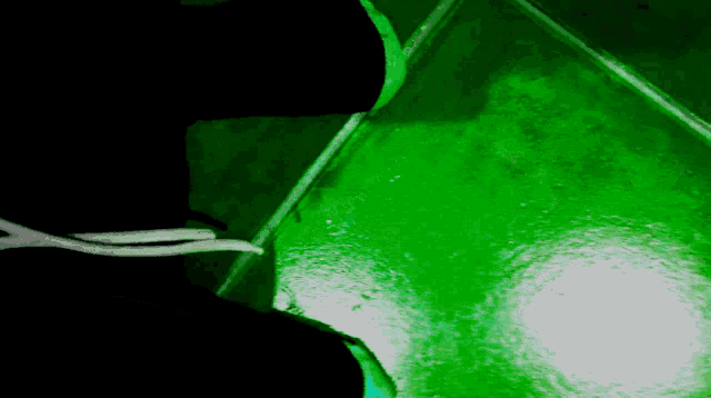 a person standing on a green tiled floor