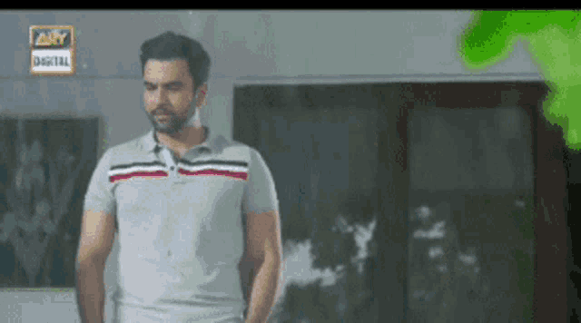 a man in a grey shirt is standing in front of a window with ary digital written on it