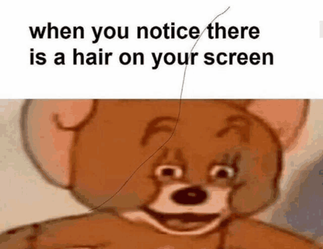 when you notice there is a hair on your screen , jerry is smiling and looking at the camera .