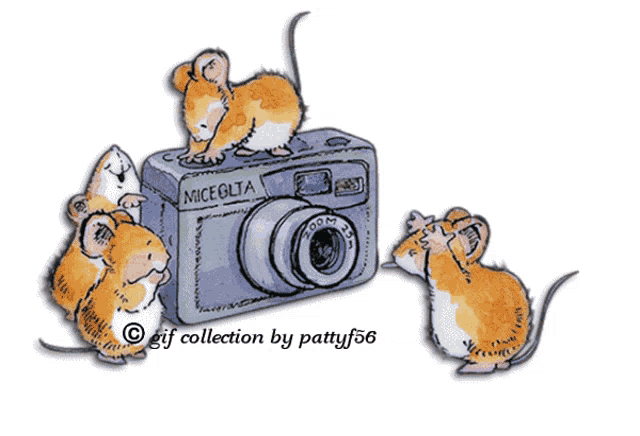a niceolta camera is surrounded by mice