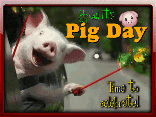 Pig Pig Day GIF - Pig Pig Day Piggy GIFs