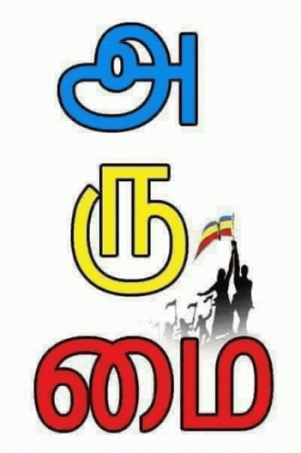 Pmk Flag GIF - Pmk Flag Pattali Makkal Katchi GIFs