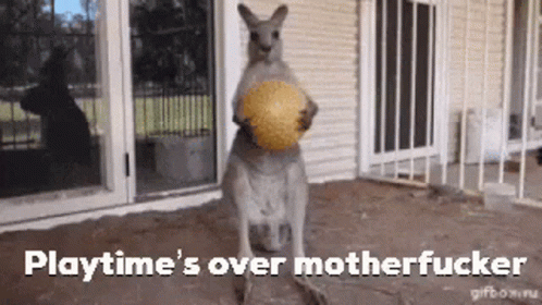Kangaroo Play Times Over GIF - Kangaroo Play Times Over Motherfucker GIFs