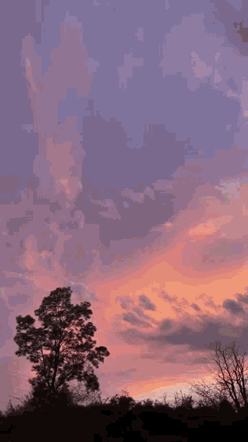 a sunset with a tree in the foreground