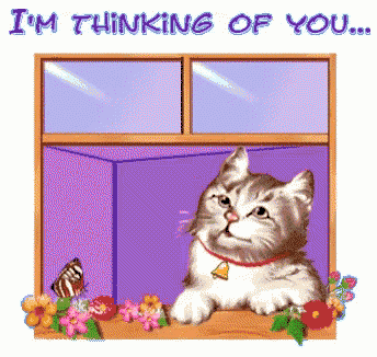 a picture of a cat with the words " i 'm thinking of you "