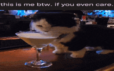 This Is Me Cat GIF - This Is Me Cat Milk GIFs