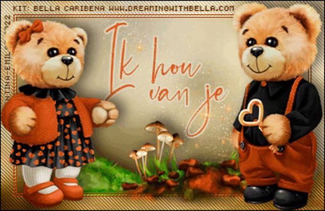 a couple of teddy bears standing next to each other with a sign that says ik hou van je on it