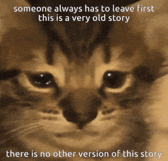 a picture of a cat with a caption that says someone always has to leave first this is a very old story