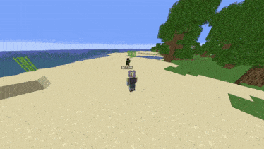 a screenshot of a minecraft game shows a player named no you walking on a beach