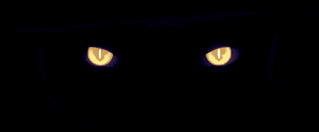 a close up of a woman 's eyes with yellow eyes