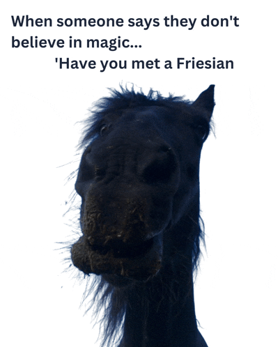 a picture of a horse with a caption that says " when someone says they don 't believe in magic "