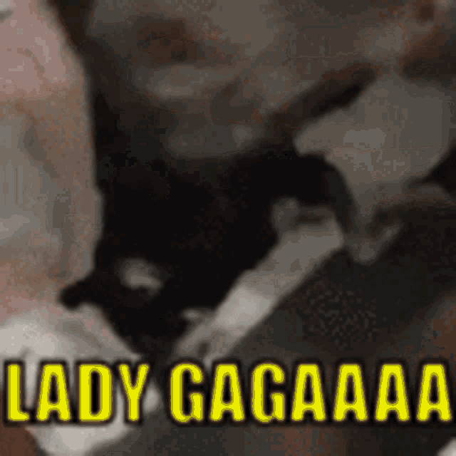 Lady Gaga Dog GIF - Lady Gaga Dog Massage GIFs