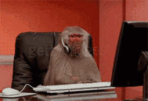 a monkey wearing a headset sits in front of a computer keyboard