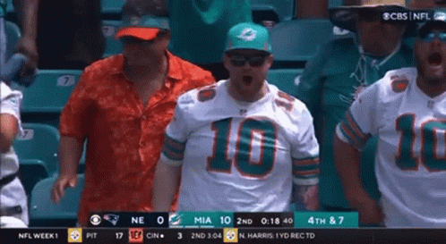Miami Dolphins Dolphins Fans GIF - Miami Dolphins Dolphins Fans GIFs