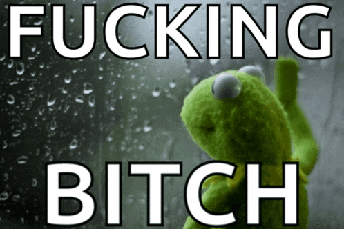 a kermit the frog looking out a window with the words fucking bitch behind him