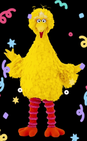 Big Bird Sesame Street GIF - Big Bird Sesame Street Bird GIFs