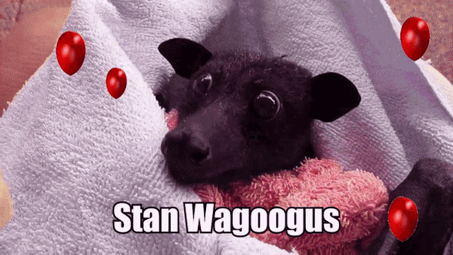 Wagoogus GIF - Wagoogus GIFs
