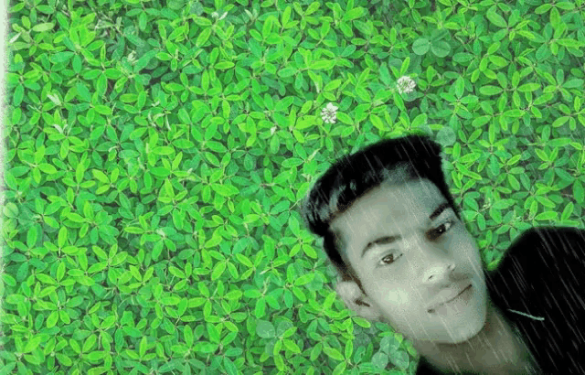 a man laying on a lush green leafy surface
