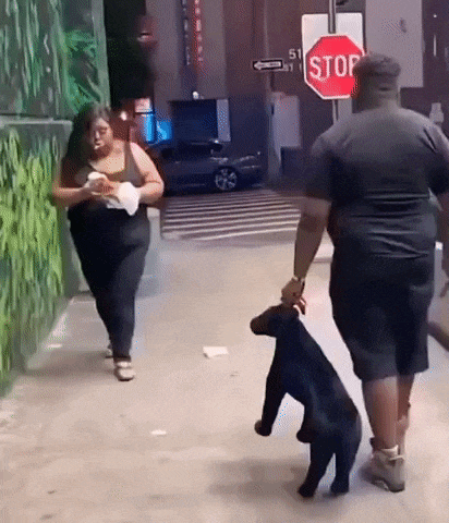 a man is holding a stuffed dog on a leash while a woman walks behind him .