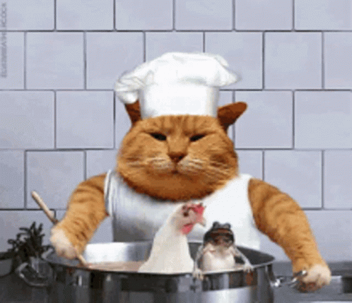Uwe Hans Jürgen Cooks Cat GIF - Uwe Hans Jürgen Cooks Cat Chef GIFs