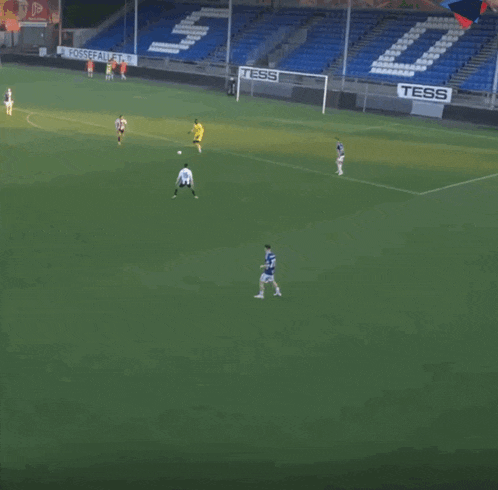 a soccer game is being played on a field with a tess sign