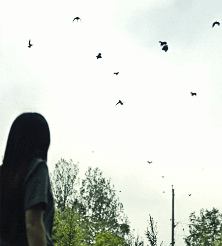 a woman looks up at a flock of birds in the sky
