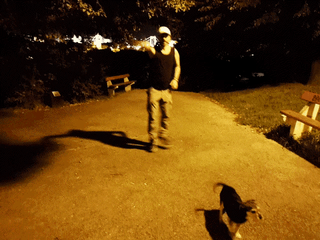 a man standing next to a dog on a path with a red bench that says bi
