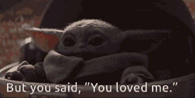 Baby Yoda You Said GIF