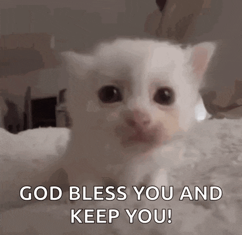 a white kitten is sitting on a bed with the words `` god bless you and keep you '' written on it .