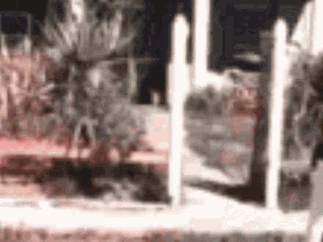 a blurry picture of a fence with a few trees in the background