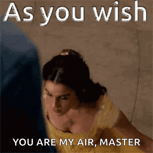 a woman in a yellow dress with the words as you wish you are my air master below her