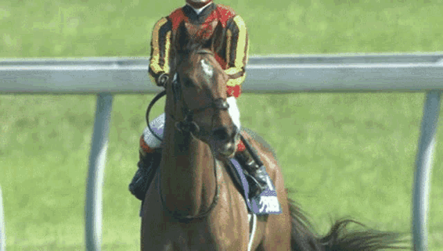 a jockey is riding a brown horse on a track .