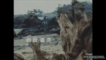a screen recording of a scene with chinese characters