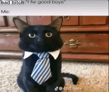 a black cat is wearing a tie and collar
