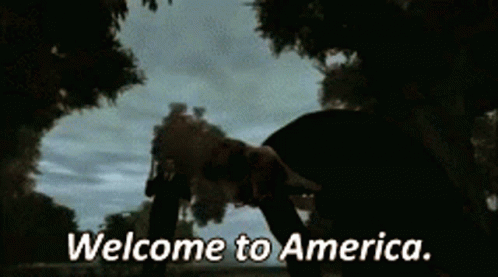 Gta Iv Niko Bellic GIF - Gta Iv Niko Bellic Welcome To America GIFs