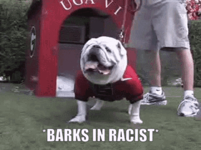 a bulldog wearing a red nike shirt is standing in front of a red dog house .